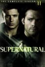 Season 11